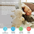 Portable White Noise Machine with Adjustable Sounds & Auto-Off Timer | Perfect for Baby Sleep & Travel