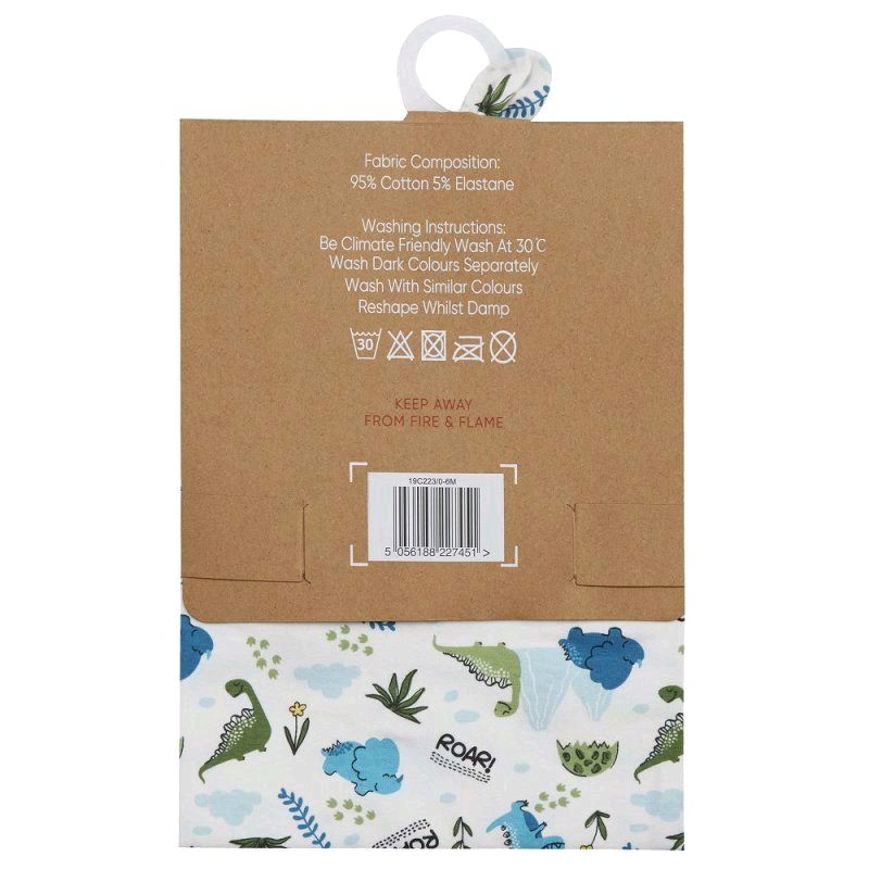 Dinosaur Print Hat & Swaddle Wrap Set for 0-6 Months
