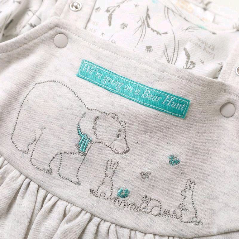 Baby Girls Were Going On A Bear Hunt Dress